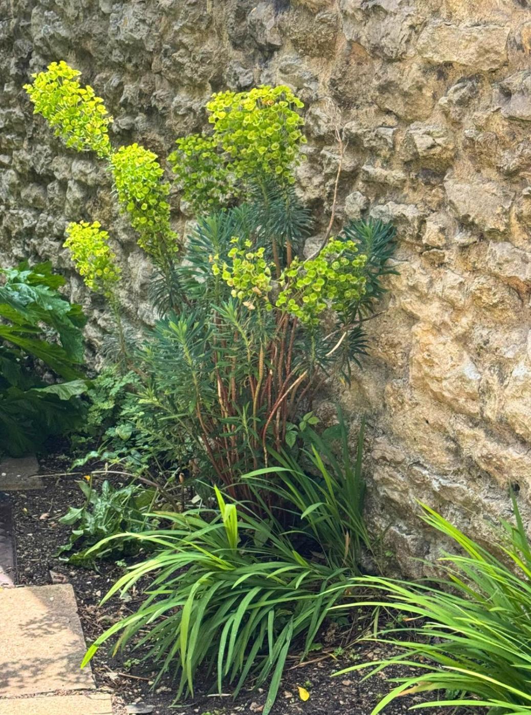 Headington, Oxford, An Entire 2Bed, Free Wi-Fi, Free Parking Exterior photo